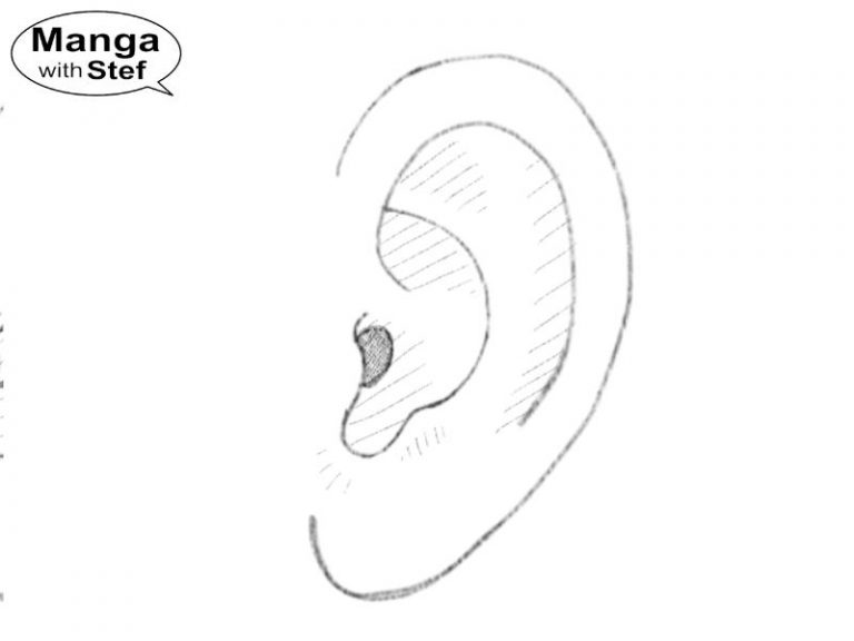 How to Draw Ears for Your Manga Characters